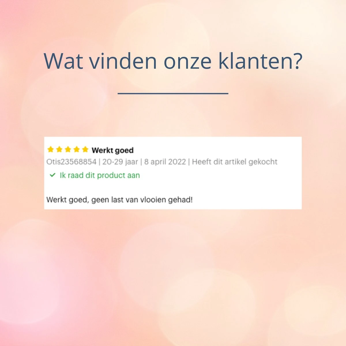 Merkloos Vlooienband Hond - 8 Maanden Bescherming - Vlooienband - Natuurlijk - Tekenband - Anti Vlooien - 63cm - Fit All Sizes - Vlooienbandjes Hond - Vlooien - Teken 9 Merkloos Vlooienband Hond - 8 Maanden Bescherming - Vlooienband - Natuurlijk - Tekenband - Anti Vlooien - 63cm - Fit All Sizes - Vlooienbandjes Hond - Vlooien - Teken - Afbeelding 7