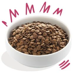 Edgard & Cooper Verse Hert & Scharreleend Adult - Hondenvoer - 12 Kg -Exporteren Alles Voor Honden Winkel 1200x1200 154