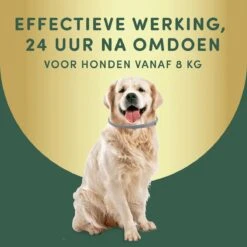 2 Stuks Vlooienband Grote Hond Tekenband - 100% Natuurlijk Veilig Diervriendelijk - 8 Maanden Werkzaam -Exporteren Alles Voor Honden Winkel 1200x1200 1557