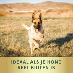 2 Stuks Vlooienband Grote Hond Tekenband - 100% Natuurlijk Veilig Diervriendelijk - 8 Maanden Werkzaam -Exporteren Alles Voor Honden Winkel 1200x1200 1559