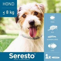 Seresto Vlooien En Tekenband - Kleine Hond - 0 Tot 8 Kg -Exporteren Alles Voor Honden Winkel 1200x1200 1560