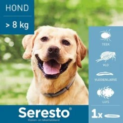 Seresto Vlooien En Tekenband - Grote Hond - >8 Kg 28 Seresto Vlooien En Tekenband - Grote Hond - >8 Kg -Exporteren Alles Voor Honden Winkel 1200x1200 1562
