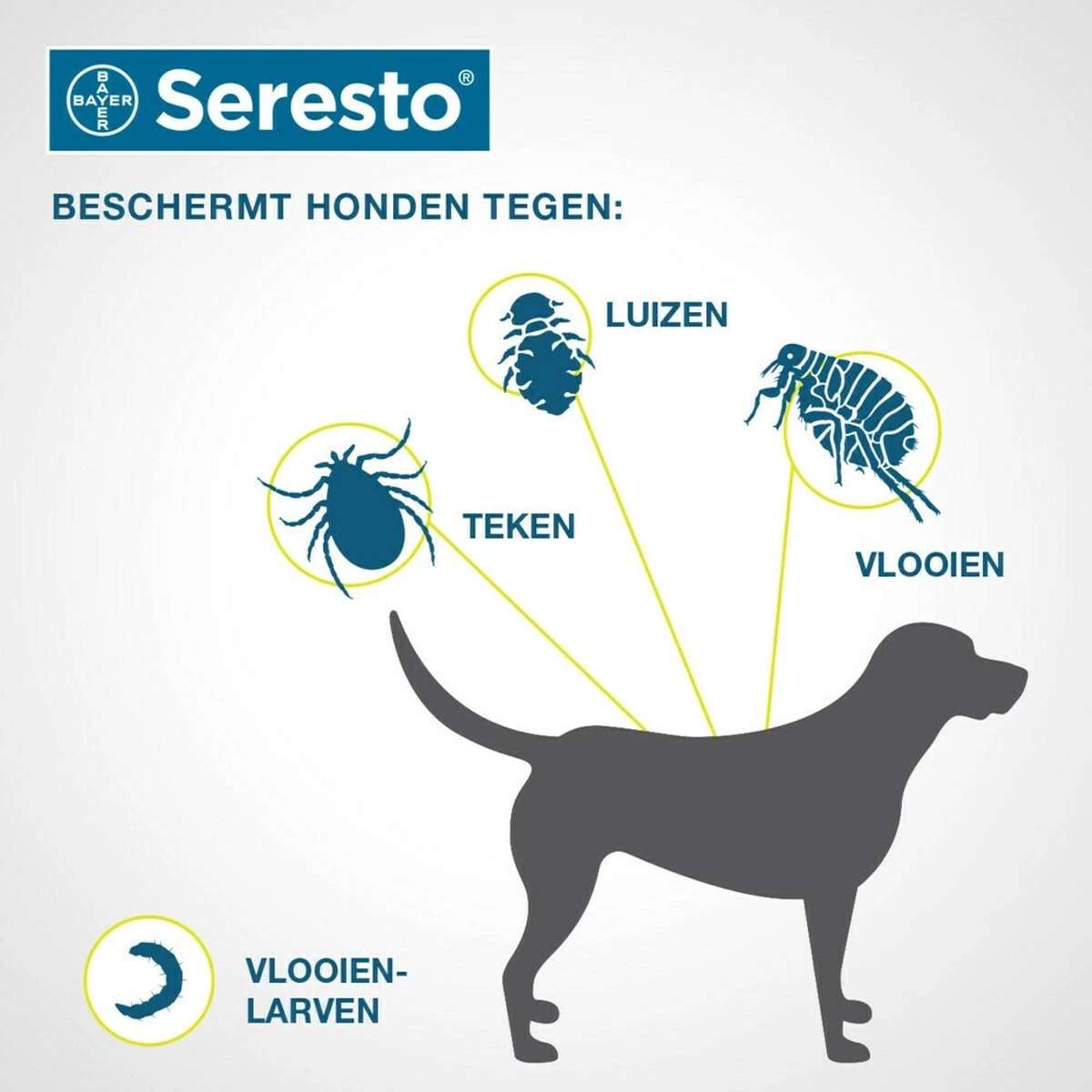 Seresto Vlooien En Tekenband - Grote Hond - >8 Kg 17 Seresto Vlooien En Tekenband - Grote Hond - >8 Kg - Afbeelding 15