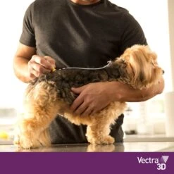 VECTRA 3D Hond - 4 Tot 10 Kg - Anti Vlooien- En Tekendruppels - 3 Pipetten 12 VECTRA 3D Hond - 4 Tot 10 Kg - Anti Vlooien- En Tekendruppels - 3 Pipetten -Exporteren Alles Voor Honden Winkel 1200x1200 1567