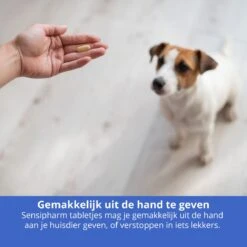Sensipharm Anal Gland Support Hond - Bij Verstopte En Ontstoken Anaalklieren - Natuurlijk Voedingssupplement - 90 Tabletten à 1000 Mg -Exporteren Alles Voor Honden Winkel 1200x1200 1569