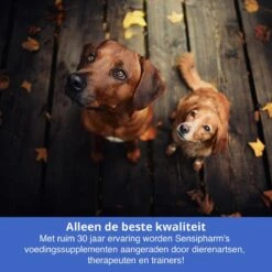 Sensipharm Anal Gland Support Hond - Bij Verstopte En Ontstoken Anaalklieren - Natuurlijk Voedingssupplement - 90 Tabletten à 1000 Mg -Exporteren Alles Voor Honden Winkel 1200x1200 1572