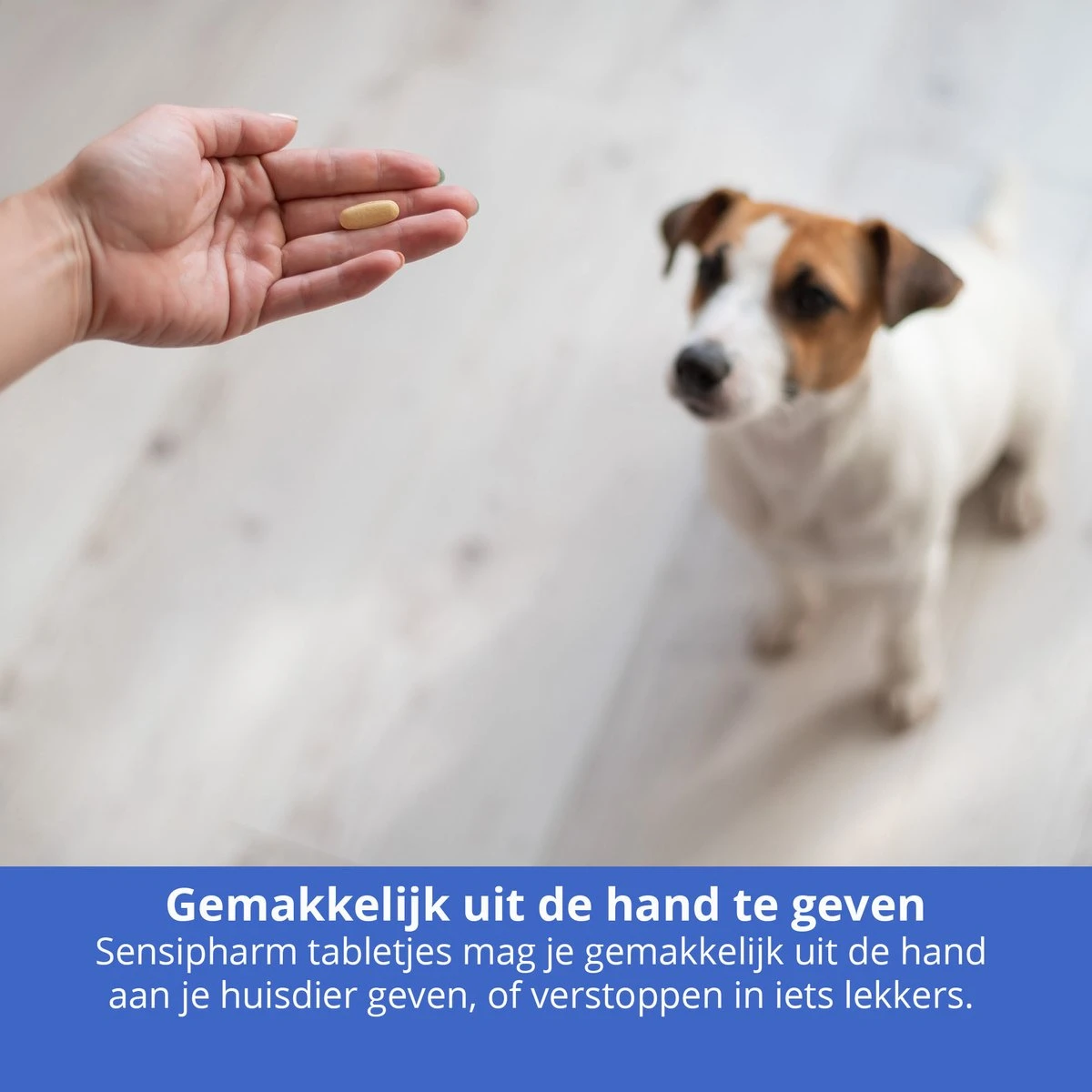 Sensipharm Feelings Control Anti-Stress Voor Hond En Kat - Kalmerend En Rustgevend Voedingssupplement Bij Stress, Angst En Agressie - 90 Tabletten à 1000 Mg 4 Sensipharm Feelings Control Anti-Stress Voor Hond En Kat - Kalmerend En Rustgevend Voedingssupplement Bij Stress, Angst En Agressie - 90 Tabletten à 1000 Mg - Afbeelding 2