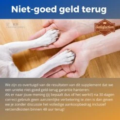 K9 Laboratories Gewricht & Heup Senior - 60 Stuks - Voor Oude Honden - Collageen - Glucosamine - Spirulina - Groenlipmossel -Exporteren Alles Voor Honden Winkel 1200x1200 1590