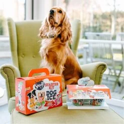 Smoofl Honden Lekkernij - Starter Kit Om Je Eigen Honden Ijs Te Maken, Kit Met 2 Ijsmixen Voor Honden, Pindakaas En Aardbei Smaak, Een Pootvormige Silicone Vorm - Voor 4 Hondenijsjes -Exporteren Alles Voor Honden Winkel 1200x1200 16
