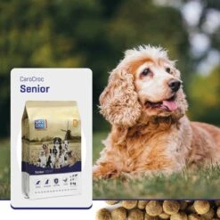 Carocroc Senior Silver 18/10 - Hondenvoer - 15 Kg 21 Carocroc Senior Silver 18/10 - Hondenvoer - 15 Kg -Exporteren Alles Voor Honden Winkel 1200x1200 163