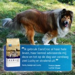 Carocroc Senior Silver 18/10 - Hondenvoer - 15 Kg 24 Carocroc Senior Silver 18/10 - Hondenvoer - 15 Kg -Exporteren Alles Voor Honden Winkel 1200x1200 165
