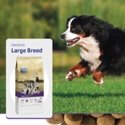 Carocroc Large Breed - Hondenvoer - 15 Kg 17 Carocroc Large Breed - Hondenvoer - 15 Kg -Exporteren Alles Voor Honden Winkel 1200x1200 167