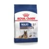 Royal Canin Maxi Ageing 8+ 15 KG 1 Royal Canin Maxi Ageing 8+ 15 KG -Exporteren Alles Voor Honden Winkel 1200x1200 172