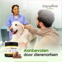 DOG OPTIMAL ANTI ALLERGY SUPPORT 120 Stuks - Allergie - Honden - Hondensnacks - Hondenkoekjes - Hondensupplementen - Honden - Puppy - Hondenvoeding - Weerstand - Jeuk-hond - Jeuk 12 DOG OPTIMAL ANTI ALLERGY SUPPORT 120 Stuks - Allergie - Honden - Hondensnacks - Hondenkoekjes - Hondensupplementen - Honden - Puppy - Hondenvoeding - Weerstand - Jeuk-hond - Jeuk -Exporteren Alles Voor Honden Winkel 1200x1200 184