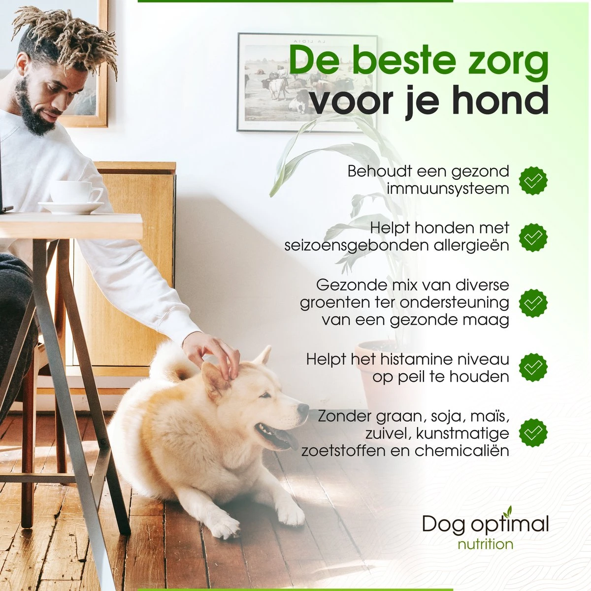 DOG OPTIMAL ANTI ALLERGY SUPPORT 120 Stuks - Allergie - Honden - Hondensnacks - Hondenkoekjes - Hondensupplementen - Honden - Puppy - Hondenvoeding - Weerstand - Jeuk-hond - Jeuk 7 DOG OPTIMAL ANTI ALLERGY SUPPORT 120 Stuks - Allergie - Honden - Hondensnacks - Hondenkoekjes - Hondensupplementen - Honden - Puppy - Hondenvoeding - Weerstand - Jeuk-hond - Jeuk - Afbeelding 5
