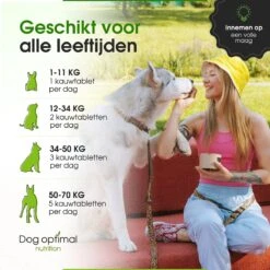 DOG OPTIMAL ANTI ALLERGY SUPPORT 120 Stuks - Allergie - Honden - Hondensnacks - Hondenkoekjes - Hondensupplementen - Honden - Puppy - Hondenvoeding - Weerstand - Jeuk-hond - Jeuk 16 DOG OPTIMAL ANTI ALLERGY SUPPORT 120 Stuks - Allergie - Honden - Hondensnacks - Hondenkoekjes - Hondensupplementen - Honden - Puppy - Hondenvoeding - Weerstand - Jeuk-hond - Jeuk -Exporteren Alles Voor Honden Winkel 1200x1200 188