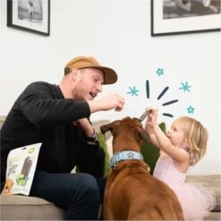 Edgard & Cooper Doggy Dental Sticks Appel - Eucalyptusolie Large -Exporteren Alles Voor Honden Winkel 1200x1200 192