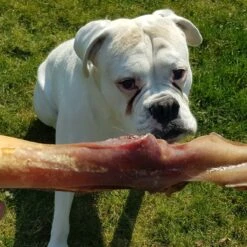 Topdiervoeding Runderkophuid Hondensnacks - Vers Gedroogd - 30cm - 1000 Gram -Exporteren Alles Voor Honden Winkel 1200x1200 193