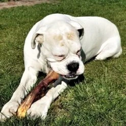 Topdiervoeding Runderkophuid Hondensnacks - Vers Gedroogd - 30cm - 1000 Gram -Exporteren Alles Voor Honden Winkel 1200x1200 195