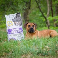 VITALstyle SPIEREN+GEWRICHTEN - Hondenbrokken - 12 Kg -Exporteren Alles Voor Honden Winkel 1200x1200 20