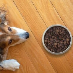 Topdiervoeding Lamslong Hondensnacks - Vers Gedroogd - Knapperig - 1 KG -Exporteren Alles Voor Honden Winkel 1200x1200 206