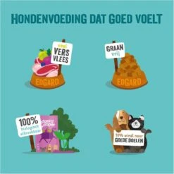 Edgard & Cooper Verse Scharrelkip Adult - Hondenvoer - 7kg 24 Edgard & Cooper Verse Scharrelkip Adult - Hondenvoer - 7kg -Exporteren Alles Voor Honden Winkel 1200x1200 21