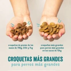 Edgard & Cooper Verse Scharrelkip Adult - Hondenvoer - 7kg 33 Edgard & Cooper Verse Scharrelkip Adult - Hondenvoer - 7kg -Exporteren Alles Voor Honden Winkel 1200x1200 22