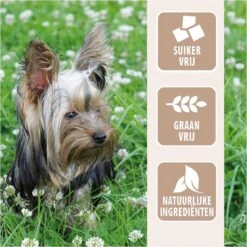 Antos Kippenpoten Gedroogd Kip 1 Kg -Exporteren Alles Voor Honden Winkel 1200x1200 221