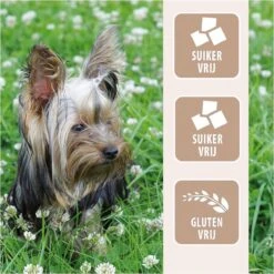 Antos Runderoor Smoked Rund Hondensnack - 280 G - 10 Stuks -Exporteren Alles Voor Honden Winkel 1200x1200 235
