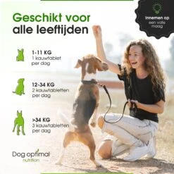 DOG OPTIMAL Gewricht Supplement 120 Stuks - Mobility - Glucosamine Hond - Artrose - Heupdysplasie - Gewrichten - Hondensnacks - Hondenkoekjes - Hondensupplementen - Honden - Puppy - Hondenvoeding 13 DOG OPTIMAL Gewricht Supplement 120 Stuks - Mobility - Glucosamine Hond - Artrose - Heupdysplasie - Gewrichten - Hondensnacks - Hondenkoekjes - Hondensupplementen - Honden - Puppy - Hondenvoeding -Exporteren Alles Voor Honden Winkel 1200x1200 239