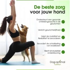 DOG OPTIMAL Gewricht Supplement 120 Stuks - Mobility - Glucosamine Hond - Artrose - Heupdysplasie - Gewrichten - Hondensnacks - Hondenkoekjes - Hondensupplementen - Honden - Puppy - Hondenvoeding 14 DOG OPTIMAL Gewricht Supplement 120 Stuks - Mobility - Glucosamine Hond - Artrose - Heupdysplasie - Gewrichten - Hondensnacks - Hondenkoekjes - Hondensupplementen - Honden - Puppy - Hondenvoeding -Exporteren Alles Voor Honden Winkel 1200x1200 240