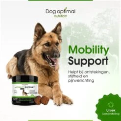 DOG OPTIMAL Gewricht Supplement 120 Stuks - Mobility - Glucosamine Hond - Artrose - Heupdysplasie - Gewrichten - Hondensnacks - Hondenkoekjes - Hondensupplementen - Honden - Puppy - Hondenvoeding 15 DOG OPTIMAL Gewricht Supplement 120 Stuks - Mobility - Glucosamine Hond - Artrose - Heupdysplasie - Gewrichten - Hondensnacks - Hondenkoekjes - Hondensupplementen - Honden - Puppy - Hondenvoeding -Exporteren Alles Voor Honden Winkel 1200x1200 241