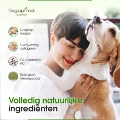 DOG OPTIMAL Gewricht Supplement 120 Stuks - Mobility - Glucosamine Hond - Artrose - Heupdysplasie - Gewrichten - Hondensnacks - Hondenkoekjes - Hondensupplementen - Honden - Puppy - Hondenvoeding 16 DOG OPTIMAL Gewricht Supplement 120 Stuks - Mobility - Glucosamine Hond - Artrose - Heupdysplasie - Gewrichten - Hondensnacks - Hondenkoekjes - Hondensupplementen - Honden - Puppy - Hondenvoeding -Exporteren Alles Voor Honden Winkel 1200x1200 242