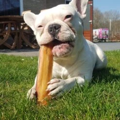 Topdiervoeding Runderkophuid Hondensnacks - Vers Gedroogd - 20cm - 1000 Gram -Exporteren Alles Voor Honden Winkel 1200x1200 253