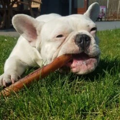 Topdiervoeding Runderkophuid Hondensnacks - Vers Gedroogd - 20cm - 1000 Gram -Exporteren Alles Voor Honden Winkel 1200x1200 254