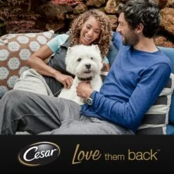 Cesar Primeur Paté Honden Natvoer - Kalf & Worteltjes - 10 X 300 Gr -Exporteren Alles Voor Honden Winkel 1200x1200 259