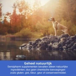 Sensipharm Bitterspray Anti Bijt Spray - Hond, Kat, Konijn & Vogel - Bitter Anti Kauw Knabbel Knaag - 100 Ml 9 Sensipharm Bitterspray Anti Bijt Spray - Hond, Kat, Konijn & Vogel - Bitter Anti Kauw Knabbel Knaag - 100 Ml -Exporteren Alles Voor Honden Winkel 1200x1200 275