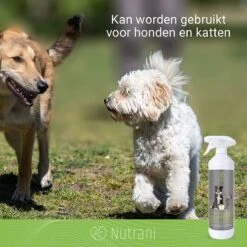 Nutrani Geurverwijderaar, 750 Ml, Natuurlijke Enzymreiniger Als Gebruiksklare Spray Met Biologische Werking, Verwijdert Geurtjes, Urine, Poep En Vlekken Van Honden En Katten -Exporteren Alles Voor Honden Winkel 1200x1200 289