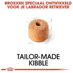 Royal Canin Labrador Retriever Adult 12 KG -Exporteren Alles Voor Honden Winkel 1200x1200 29