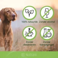 Nutrani Geurverwijderaar, 750 Ml, Natuurlijke Enzymreiniger Als Gebruiksklare Spray Met Biologische Werking, Verwijdert Geurtjes, Urine, Poep En Vlekken Van Honden En Katten -Exporteren Alles Voor Honden Winkel 1200x1200 291
