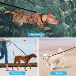 Nobleza Trainingslijn - Longeerlijn - Sleeplijn - Hondenlijn - Trainingslijn Hond - Speurlijn - 10 Meter - Zwart -Exporteren Alles Voor Honden Winkel 1200x1200 297