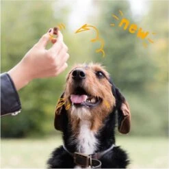 Merkloos Edgard & Cooper Lam & Rund Bites - Voor Honden - Hondensnack - 50g -Exporteren Alles Voor Honden Winkel 1200x1200 3