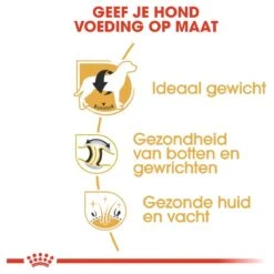 Royal Canin Labrador Retriever Adult 12 KG -Exporteren Alles Voor Honden Winkel 1200x1200 30