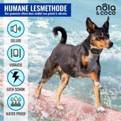 Nola & Coco® Oplaadbare Anti Blafband - 4 Kleuren - Zonder Schok - Waterdichte Diervriendelijke Blaf Halsband - Opvoedingshalsband - Voor Grote En Kleine Honden - Lichte Vibratie En Geluid - 3 Tot 60kg 12 Nola & Coco® Oplaadbare Anti Blafband - 4 Kleuren - Zonder Schok - Waterdichte Diervriendelijke Blaf Halsband - Opvoedingshalsband - Voor Grote En Kleine Honden - Lichte Vibratie En Geluid - 3 Tot 60kg -Exporteren Alles Voor Honden Winkel 1200x1200 300