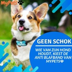 MyPets™ Anti-blafband - Anti Blaf Apparaat - Voor Kleine Honden En Grote Honden - Diervriendelijk - Opvoedingshalsband - Trainingshalsband - 2022/2023 Versie - Inclusief Batterijen -Exporteren Alles Voor Honden Winkel 1200x1200 315