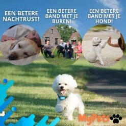 MyPets™ Anti-blafband - Anti Blaf Apparaat - Voor Kleine Honden En Grote Honden - Diervriendelijk - Opvoedingshalsband - Trainingshalsband - 2022/2023 Versie - Inclusief Batterijen -Exporteren Alles Voor Honden Winkel 1200x1200 318