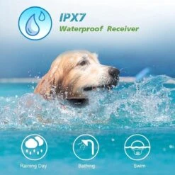 Anti Blafband EN Trainingshalsband In 1 - UNIEK Systeem - 500m Bereik - Trainingsband Opvoedband Waterdicht - Anti Blaf Apparaat - Teletac - Oplaadbaar - Volautomatisch - Grote & Kleine Hond -Exporteren Alles Voor Honden Winkel 1200x1200 322