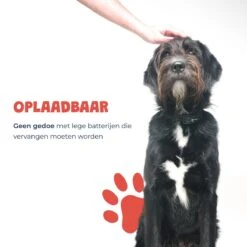 Anti Blafband - Blafband Voor Honden - Oplaadbaar - Anti Blaf Apparaat - Blafband - Diervriendelijk 18 Anti Blafband - Blafband Voor Honden - Oplaadbaar - Anti Blaf Apparaat - Blafband - Diervriendelijk -Exporteren Alles Voor Honden Winkel 1200x1200 333