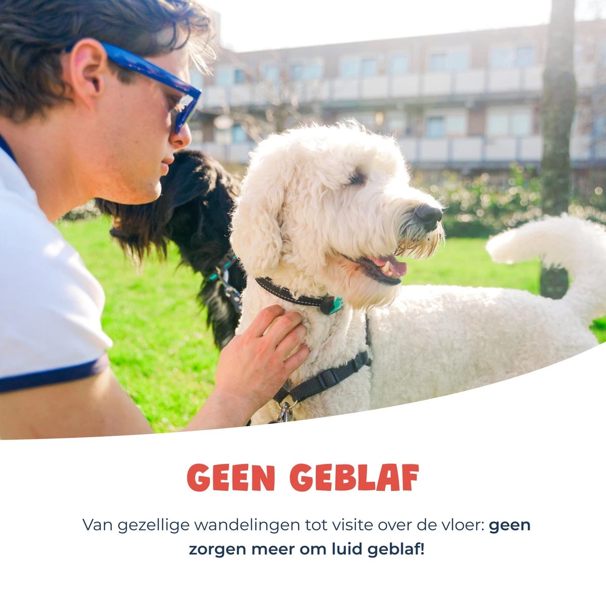 Anti Blafband - Blafband Voor Honden - Oplaadbaar - Anti Blaf Apparaat - Blafband - Diervriendelijk 9 Anti Blafband - Blafband Voor Honden - Oplaadbaar - Anti Blaf Apparaat - Blafband - Diervriendelijk - Afbeelding 7