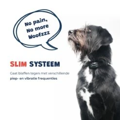 Anti Blafband - Blafband Voor Honden - Oplaadbaar - Anti Blaf Apparaat - Blafband - Diervriendelijk 21 Anti Blafband - Blafband Voor Honden - Oplaadbaar - Anti Blaf Apparaat - Blafband - Diervriendelijk -Exporteren Alles Voor Honden Winkel 1200x1200 336